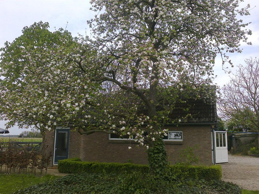 Holiday Cottage De Garage Inn Hank Eksteriør bilde